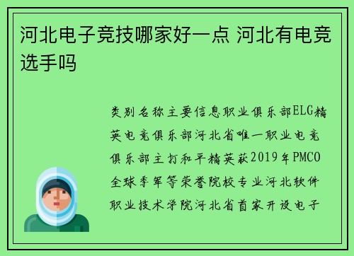 河北电子竞技哪家好一点 河北有电竞选手吗