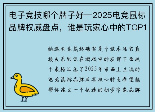 电子竞技哪个牌子好—2025电竞鼠标品牌权威盘点，谁是玩家心中的TOP1？